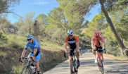 MALLORCA - Sunny Holidays - 19. - 28.10.2025