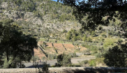 MALLORCA - Sunny Holidays - 19. - 28.10.2025