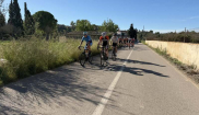 MALLORCA - Sunny Holidays - 19. - 28.10.2025