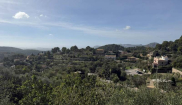 MALLORCA - Sunny Holidays - 19. - 28.10.2025