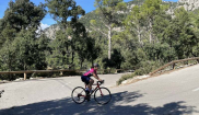 MALLORCA - Sunny Holidays - 19. - 28.10.2025