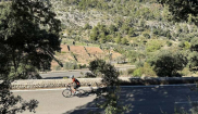 MALLORCA - Sunny Holidays - 19. - 28.10.2025