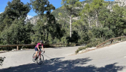 MALLORCA - Sunny Holidays - 19. - 28.10.2025