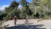 MALLORCA - Sunny Holidays - 19. - 28.10.2025
