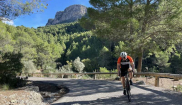 MALLORCA - Sunny Holidays - 19. - 28.10.2025