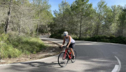 MALLORCA - Sunny Holidays - 19. - 28.10.2025