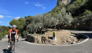 MALLORCA - Sunny Holidays - 19. - 28.10.2025