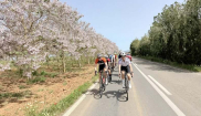 MALLORCA - CLASSIC - 9.4. - 18.4.2026