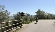 MALLORCA - HOLIDAYS - 25.4.-2.5.2026