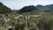 MALLORCA - HOLIDAYS - 25.4.-2.5.2026