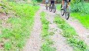 Příměstský tábor - 20.-24.7.2026, Praha