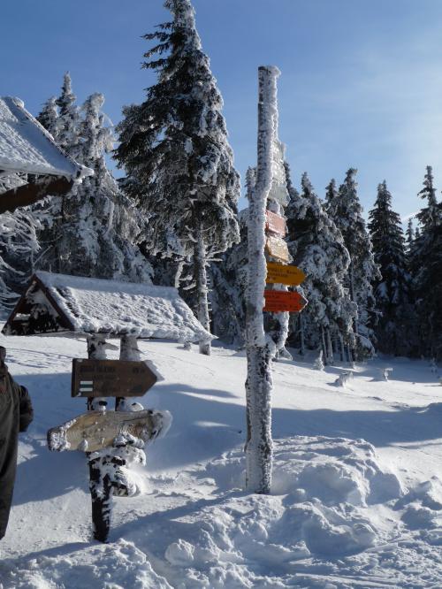 Ski kemp Harrachov s Alltraining.cz - tentokrát na běžkách!